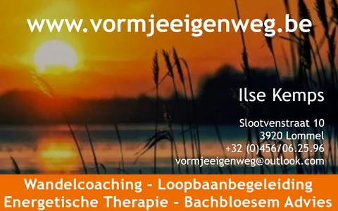 Logo van Vorm je eigen weg, Ilse Kemps
